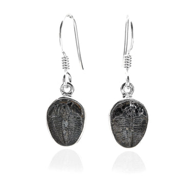 Trilobite Drop Earrings encased in 925 Sterling Silver - Black Feather Design